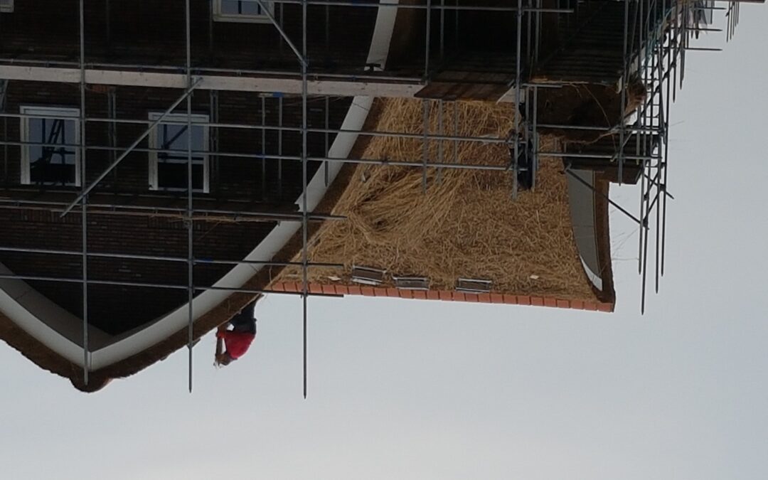 Een chique woning dankzij een ambachtelijke rieten kap
