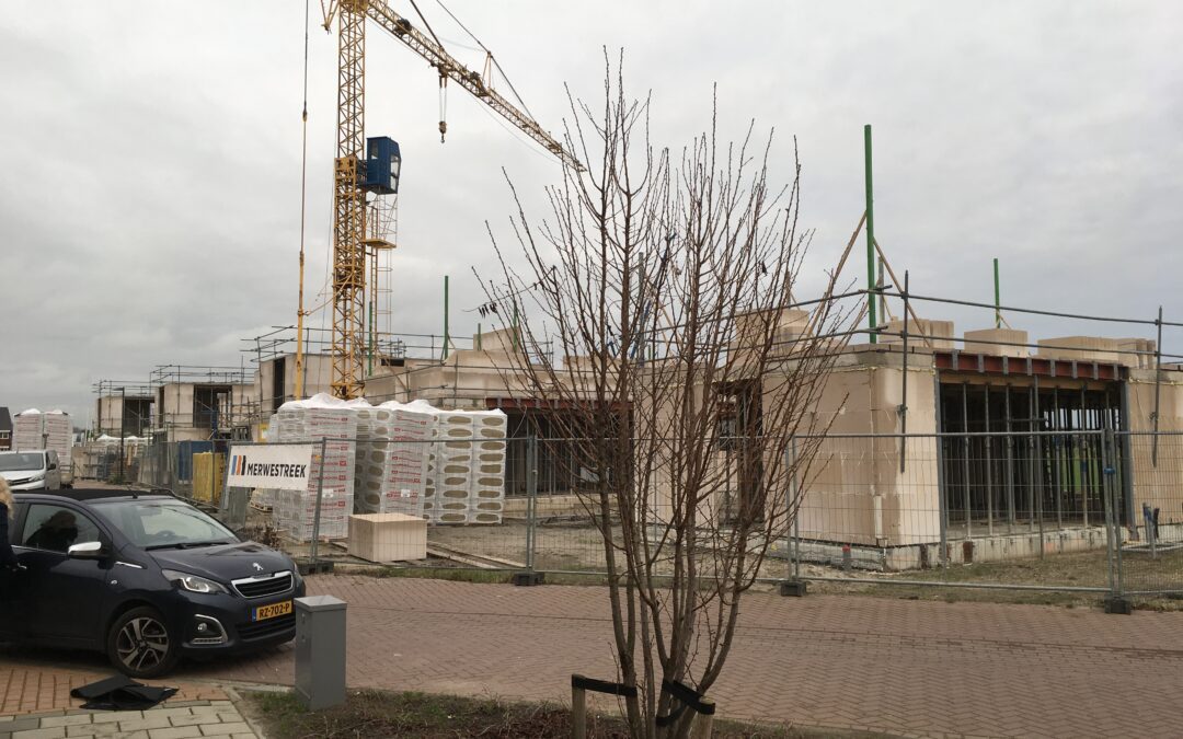 Voortgang SEDUM Gorinchem kavel 8 t/m 13.