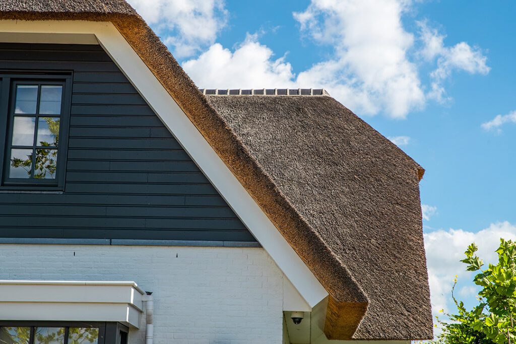 Vrijstaande woning Hendrik Ido Ambacht